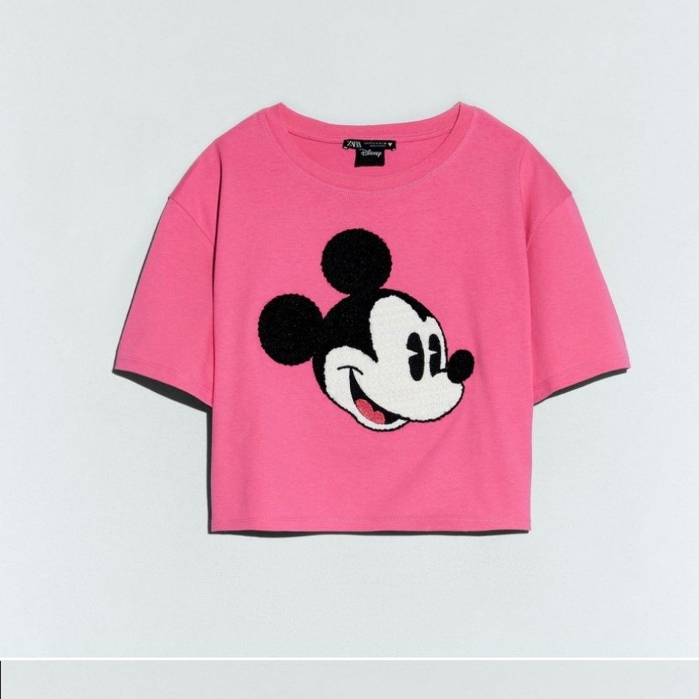 Zara Disney crop top